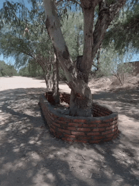 LIMPIEZA Y REHABILITACIÓN CAMINO REAL